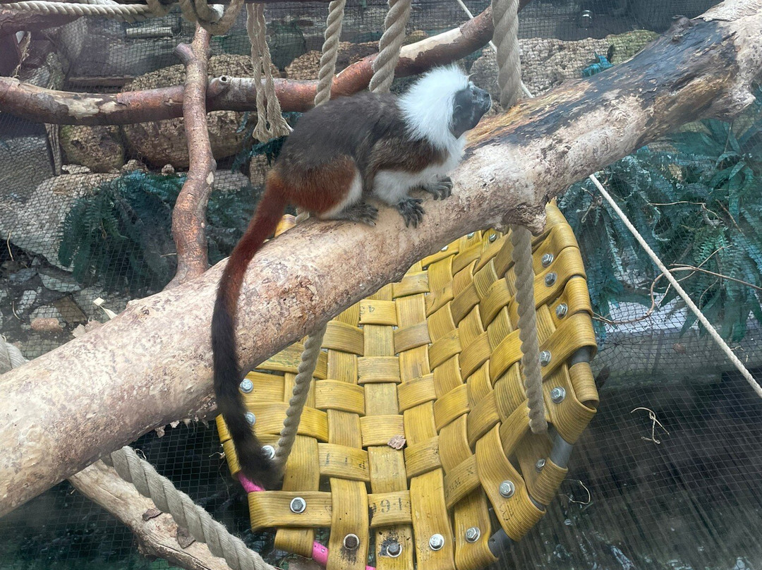 Tropical World-利兹必去景点