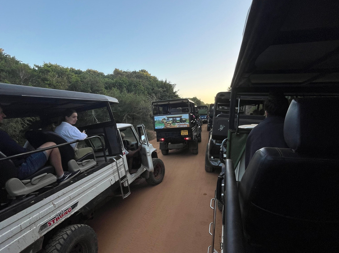 Freedom Safari Jeep Tours-蒂瑟默哈拉默必去景点
