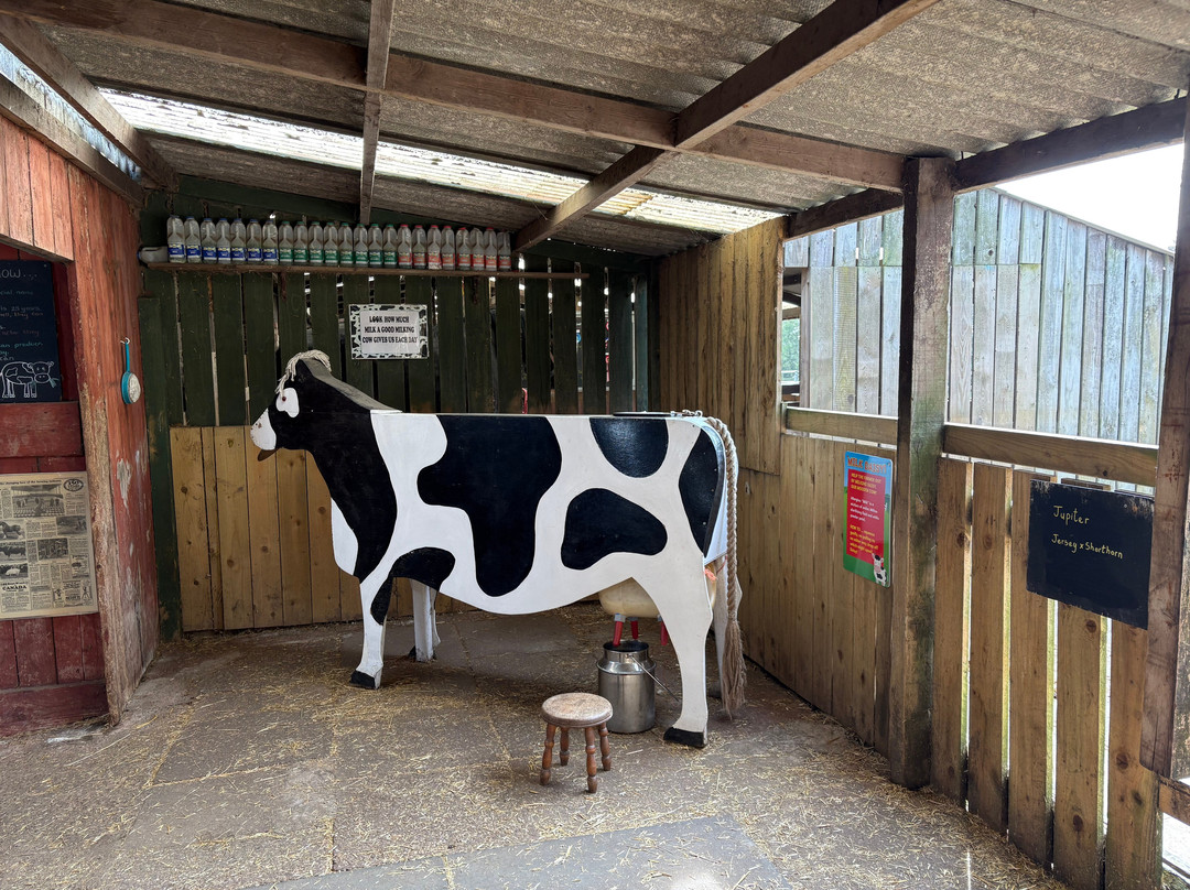 Ash End House Children's Farm-塔姆沃思必去景点