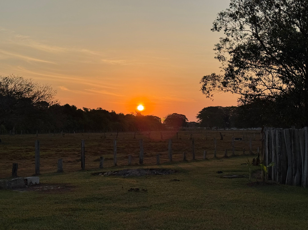 Reserva Natural Hato El Boral-San Luis de Palenque必去景点