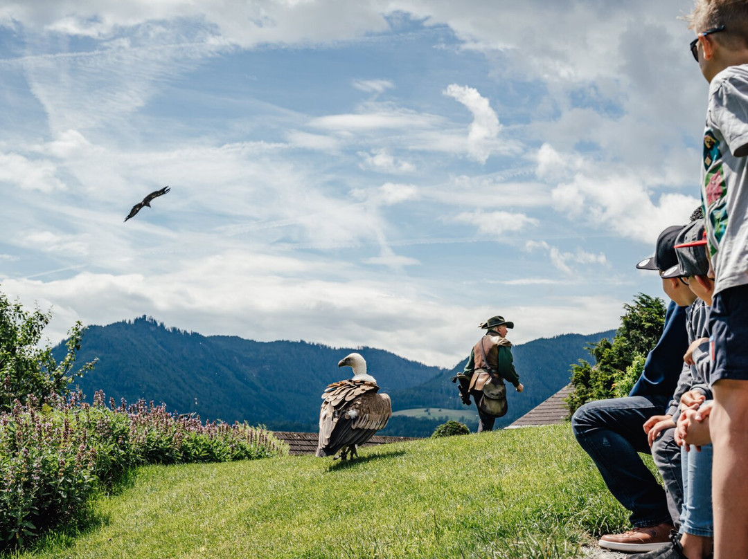Fortress Hohenwerfen-维尔芬必去景点