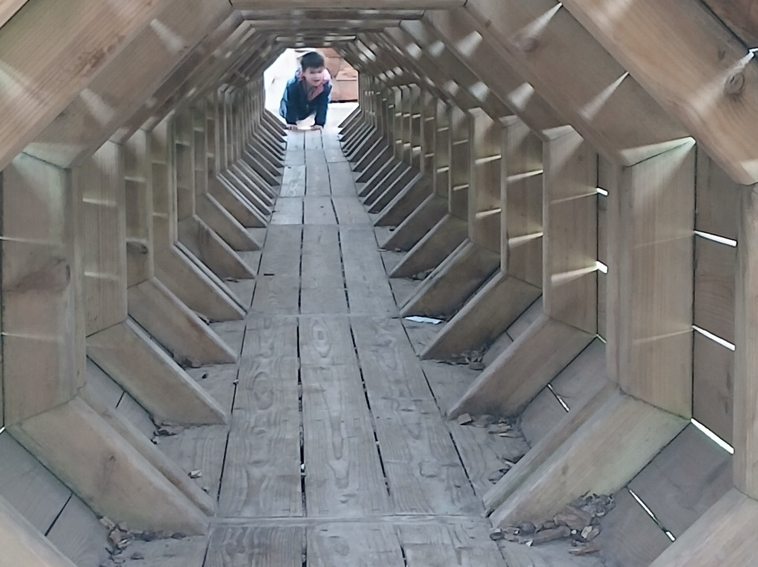 Wyvernwood-Alresford必去景点