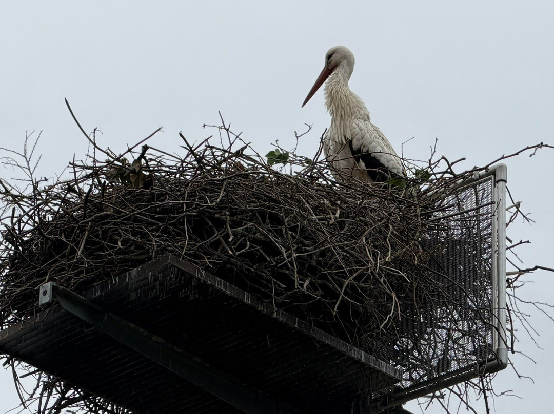 Zoo Basel-巴塞尔必去景点