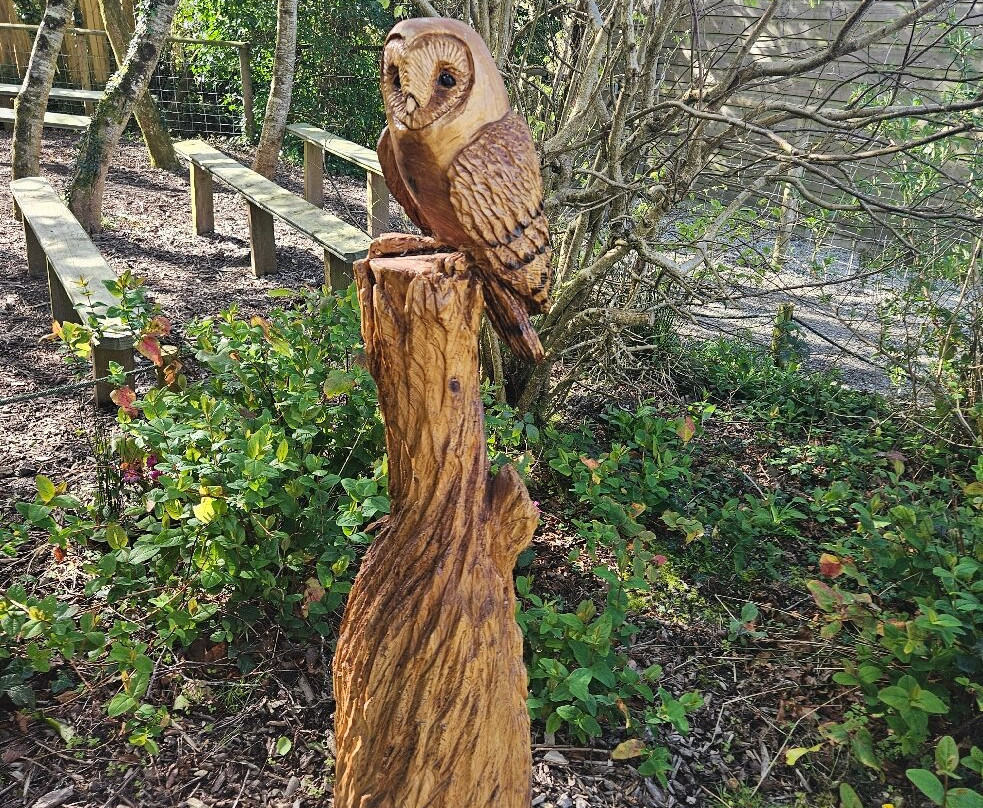 Screech Owl Sanctuary & Animal Park-St Columb Major必去景点