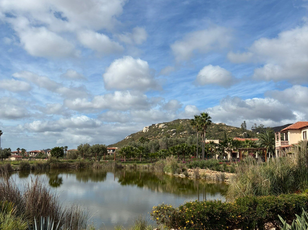 Lomas Travel DMC | Baja California-恩塞纳达必去景点