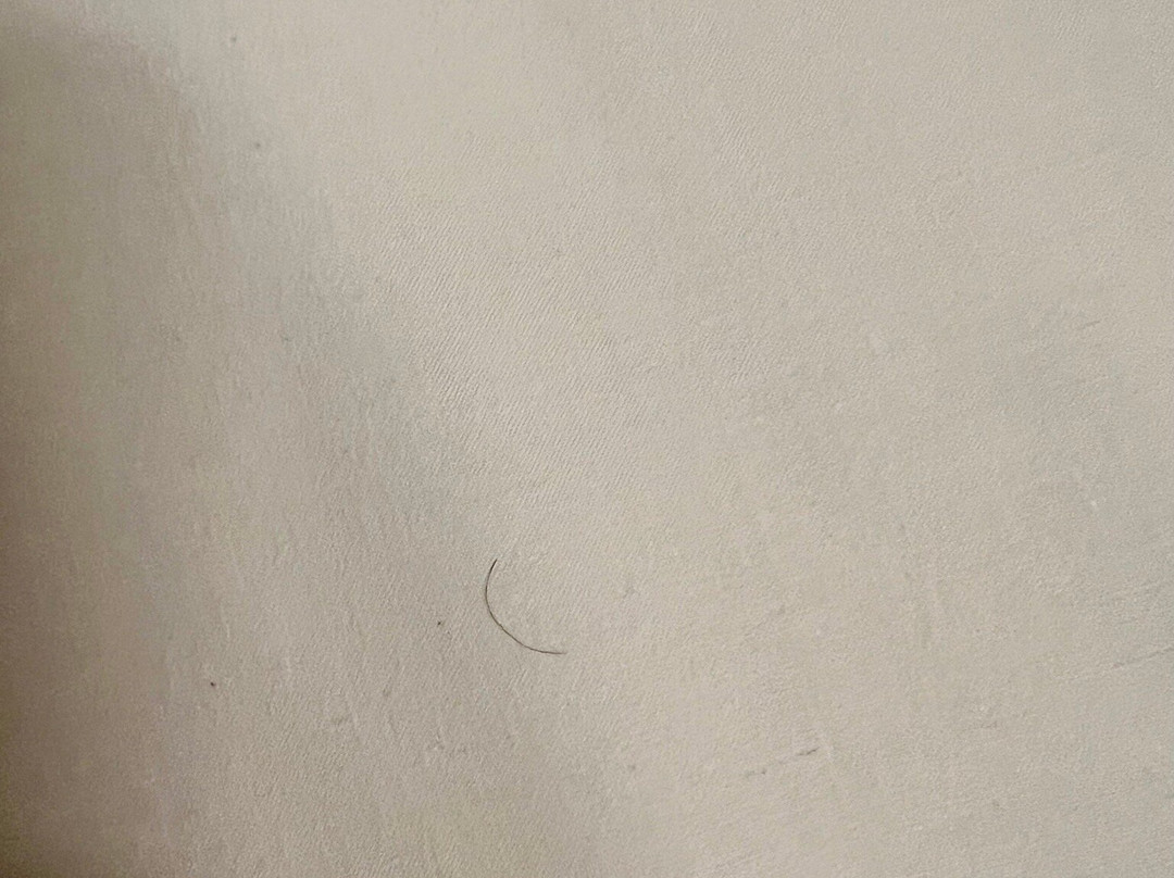 巴黎紫丁香门民宿酒店主图