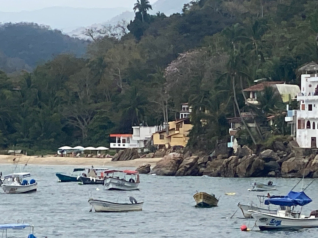 Vikara Wellness Retreats & Holistic Health-Yelapa必去景点