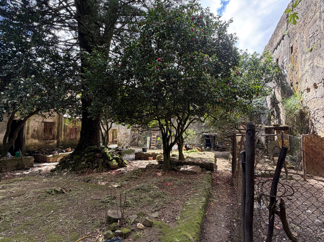 Convento de Nossa Senhora do Desterro-Monchique必去景点