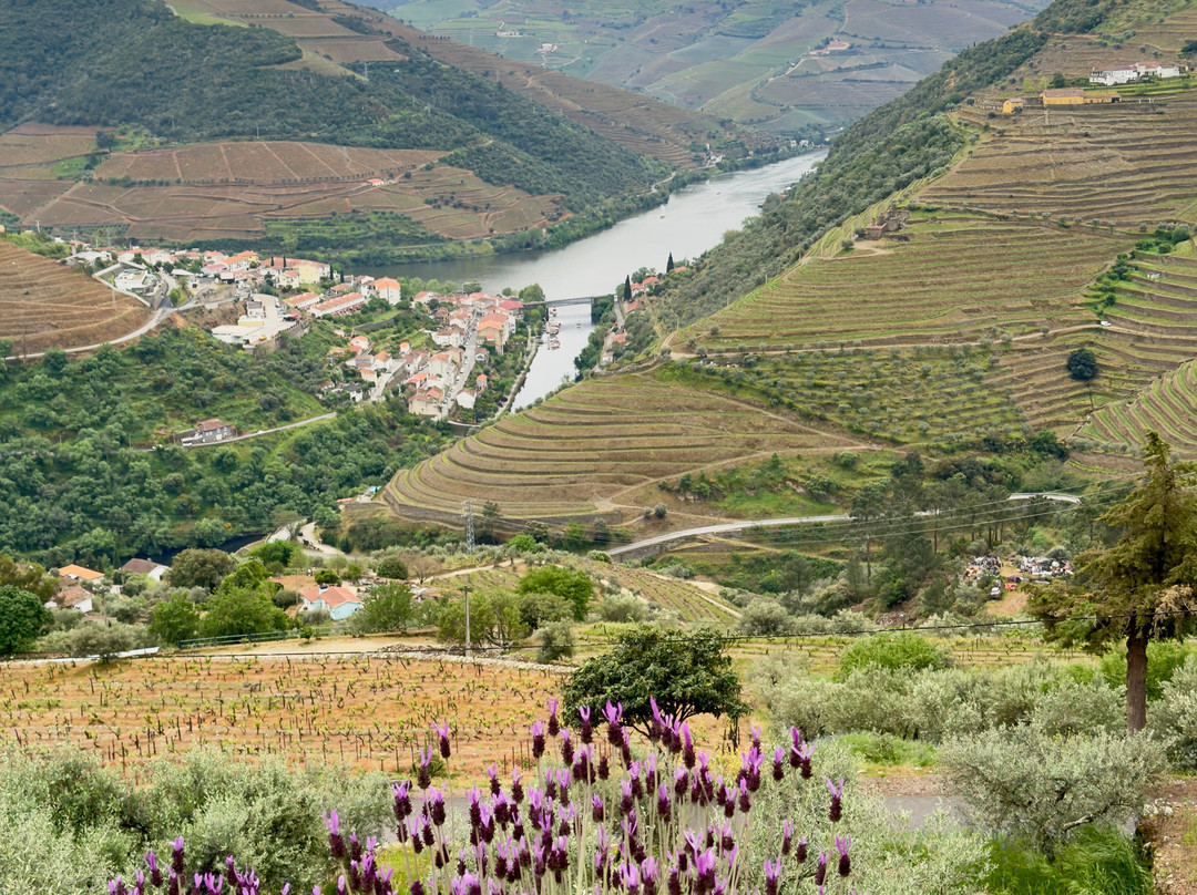 Grand Rota Tours - Portugal-波尔图必去景点