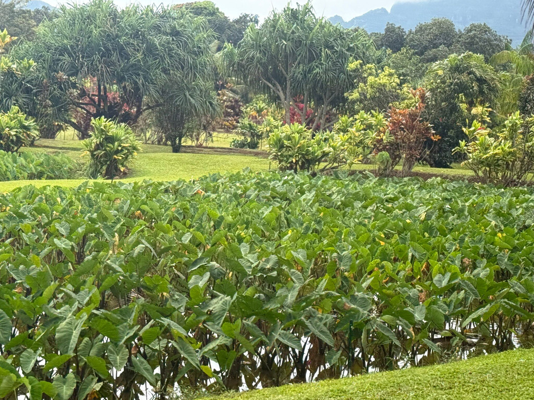 Kauai Plantation Railway-利胡埃必去景点