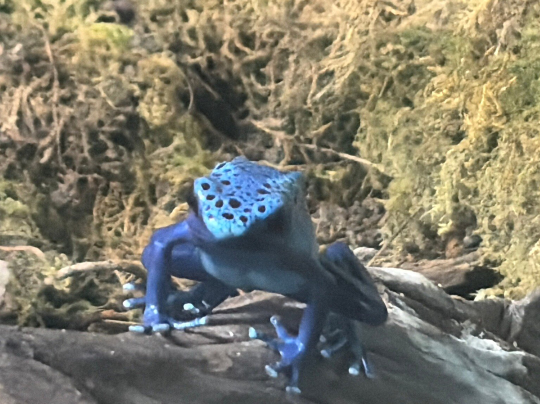 Shepreth Wildlife Park-Shepreth必去景点