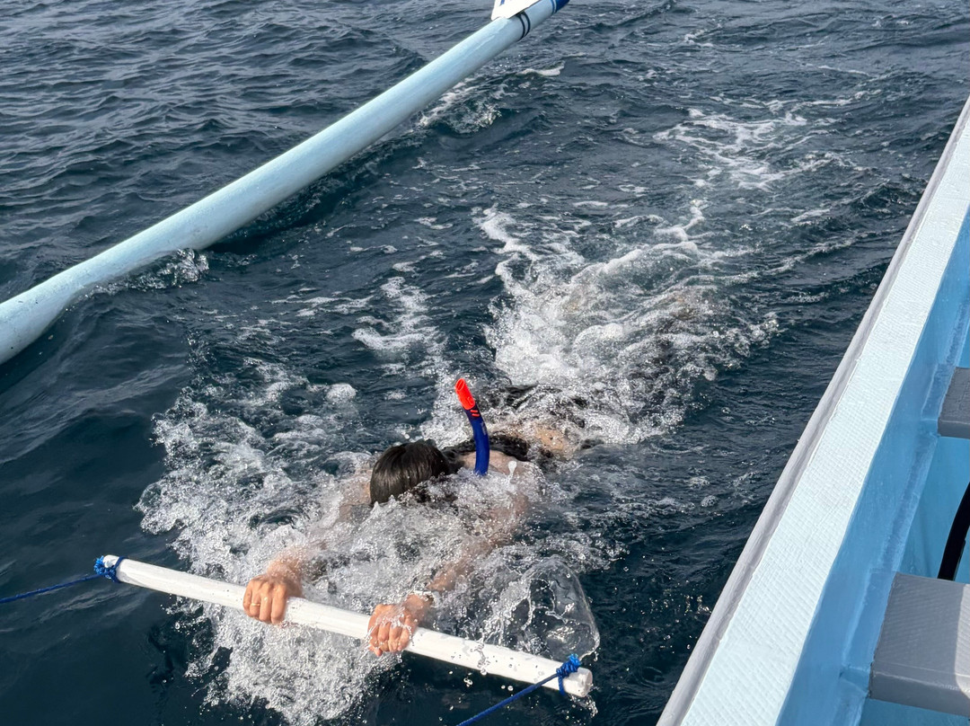 Dolphin Boat Lovina-罗威那海滩必去景点