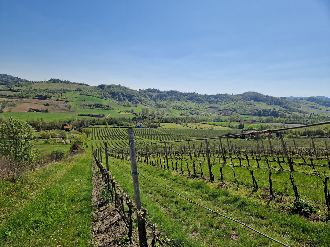Agriturismo Fattoria Quercia主图