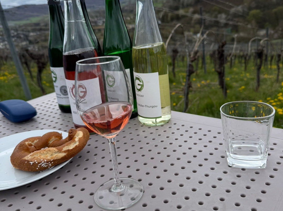 金多夫酒庄酒店主图