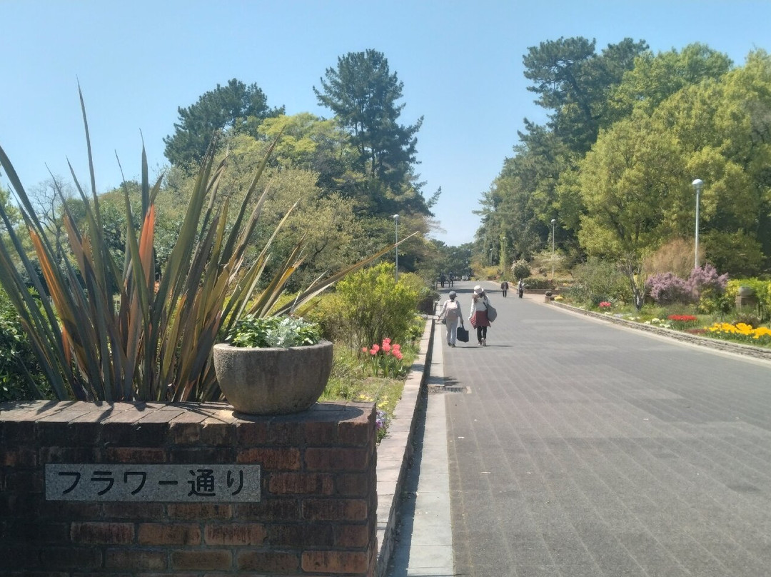 Hattori Ryokuchi Park-丰中市必去景点
