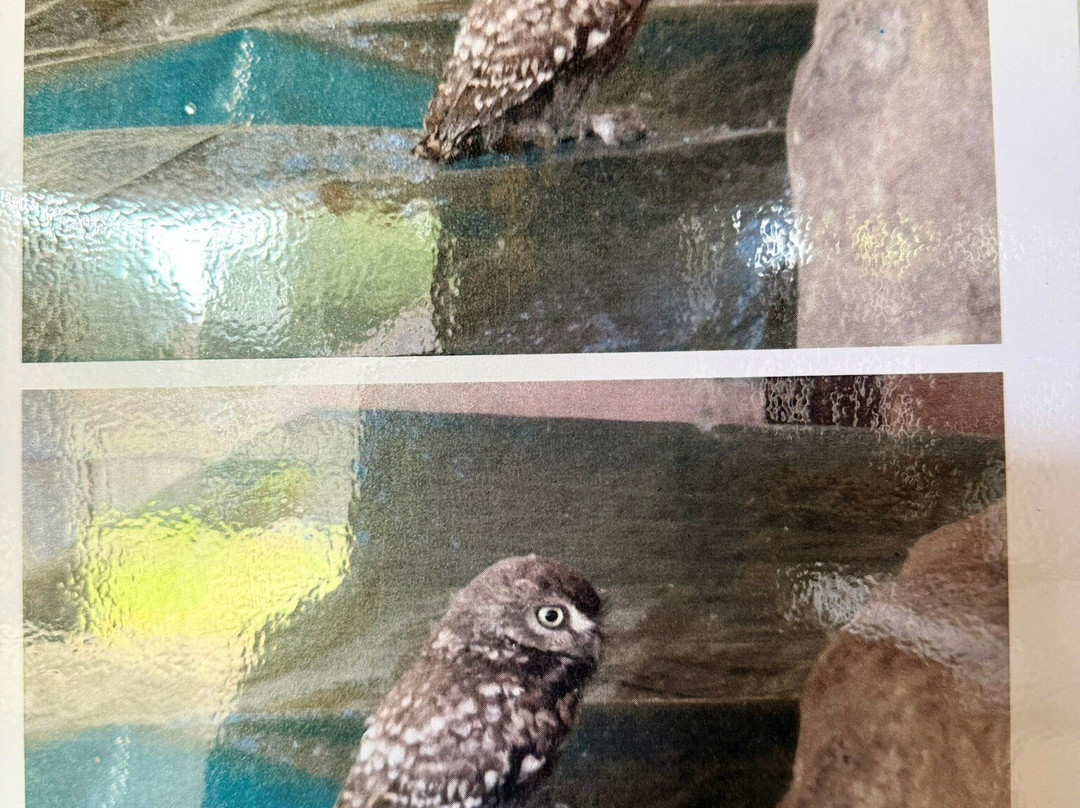 The Great Barn-Harmondsworth必去景点