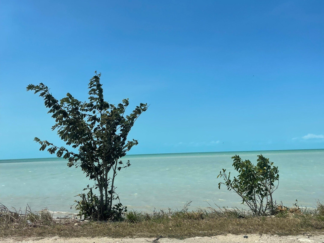 Mirador Champoton-Champoton必去景点