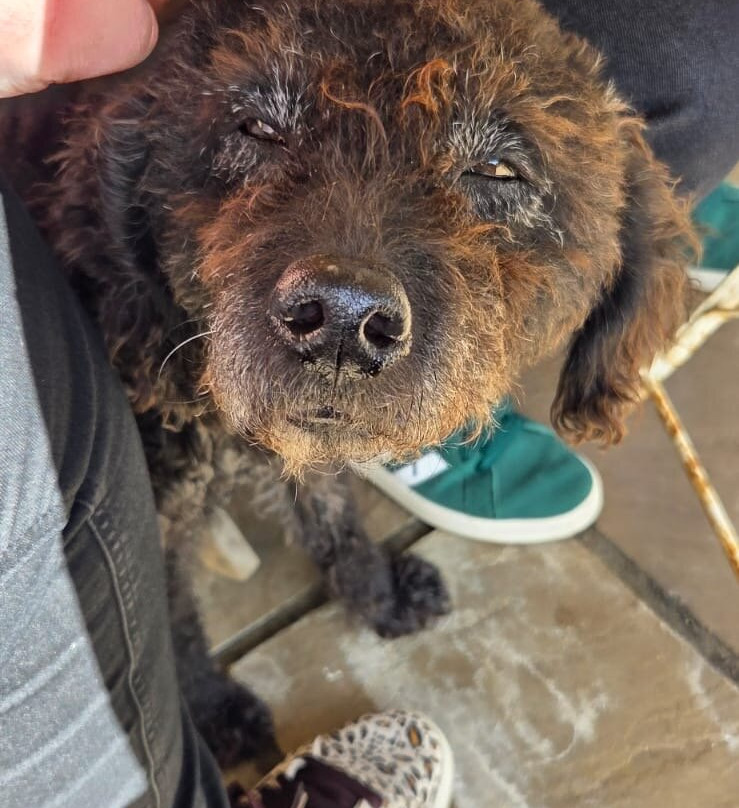 Outbuildings Dorset主图