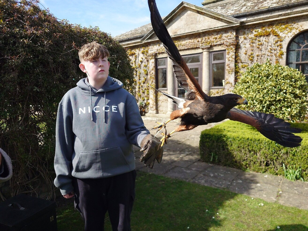 Andy Howeys Birds of Prey Centre-特威德河畔贝里克必去景点