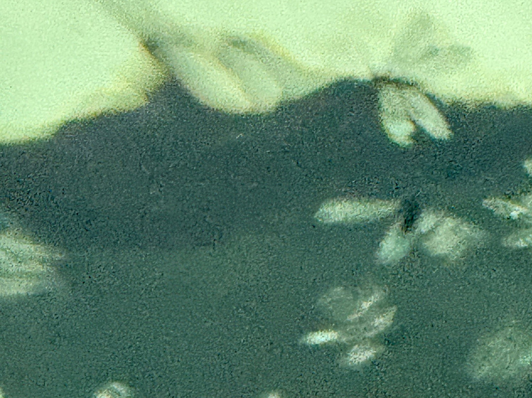 波多黎各拉孔查度假村，傲途格精选主图