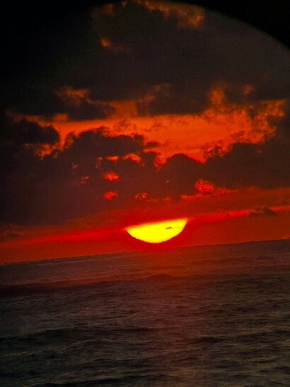 Surcos Tours-希门尼斯港必去景点