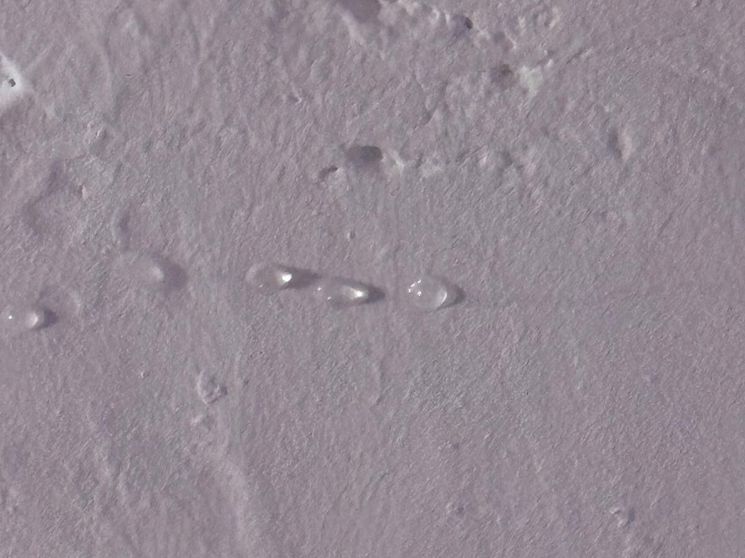 塔拉曼卡旅馆主图