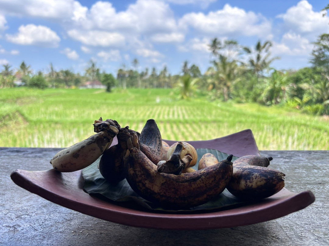 Jatiluwih Cycling & E-bike Tours With Bali By Pedals-达巴南必去景点