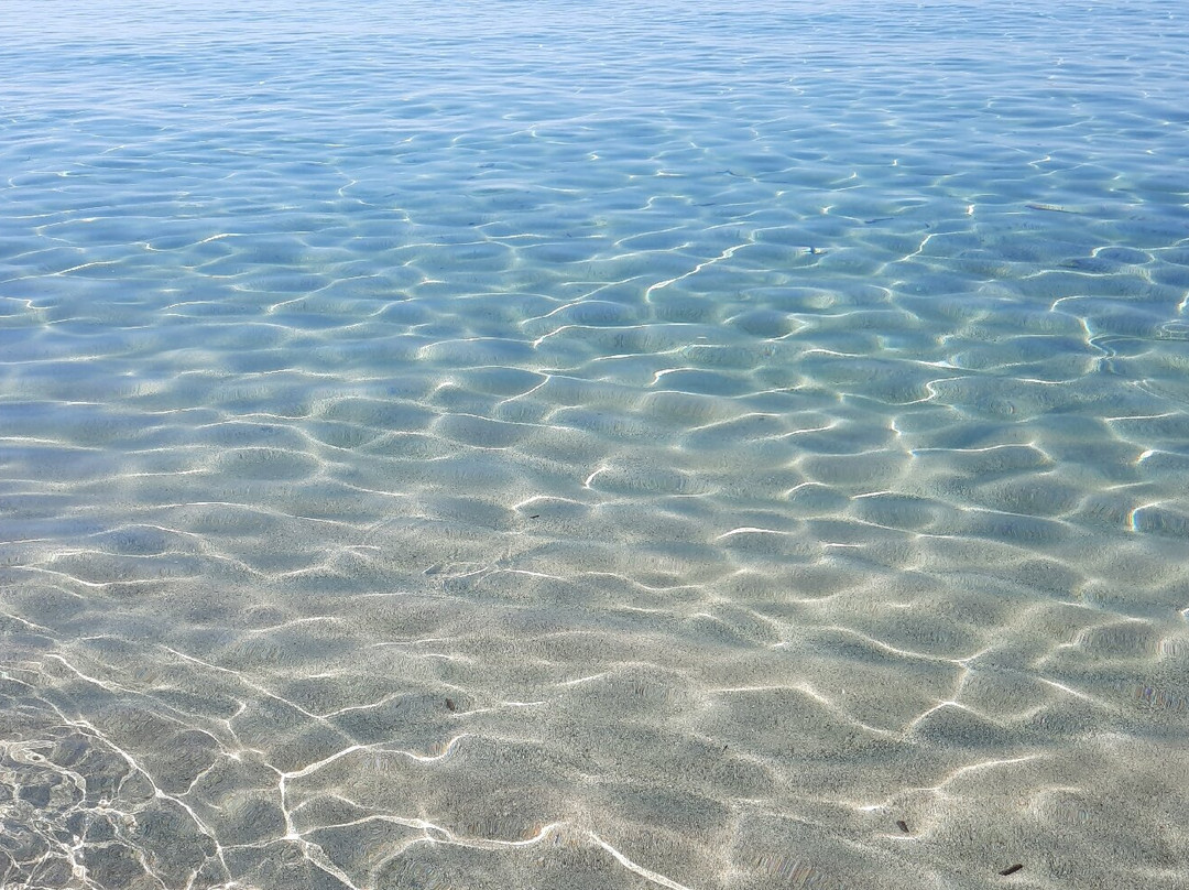 Plage de Ghjunchitu-Corbara必去景点