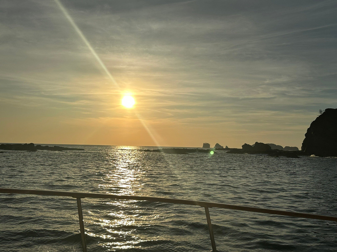 Mr Pelicano Boat Tours-Playa Flamingo必去景点