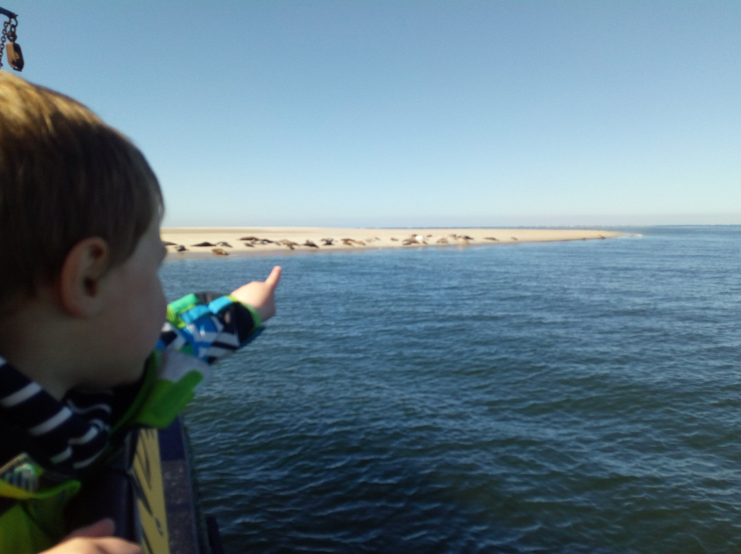 Viking TS3 Sleepnetvissen-West-Terschelling必去景点