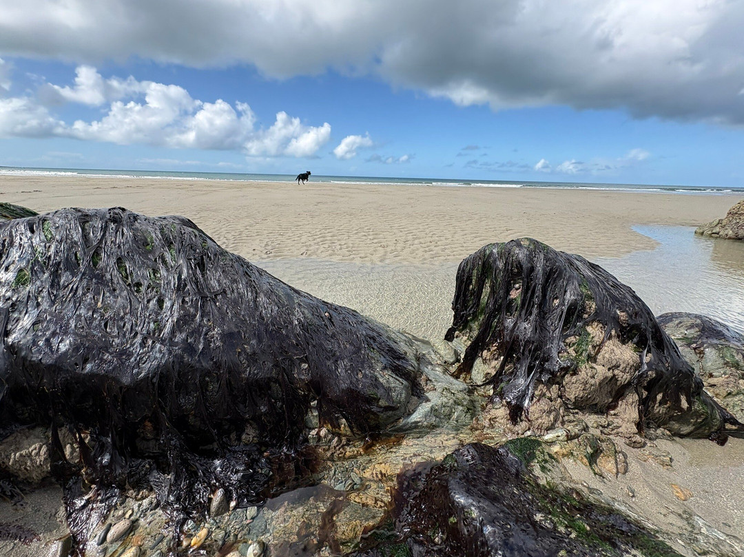 Traeth Penllech-Pwllheli必去景点