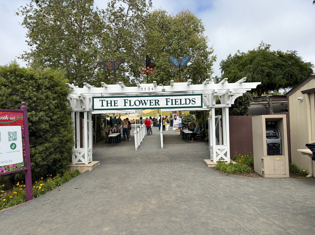 The Flower Fields at Carlsbad Ranch-卡尔斯巴德必去景点