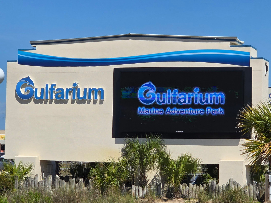 Gulfarium Marine Adventure Park-华尔顿堡滩必去景点