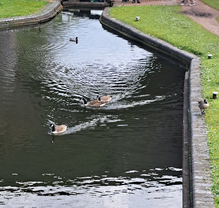 Dudley Canal & Caverns-Dudley必去景点
