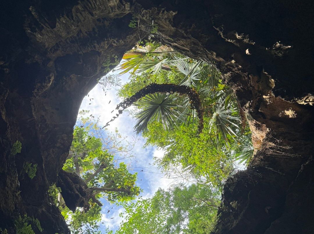 Destino Mío Mayan Jungle Retreat主图