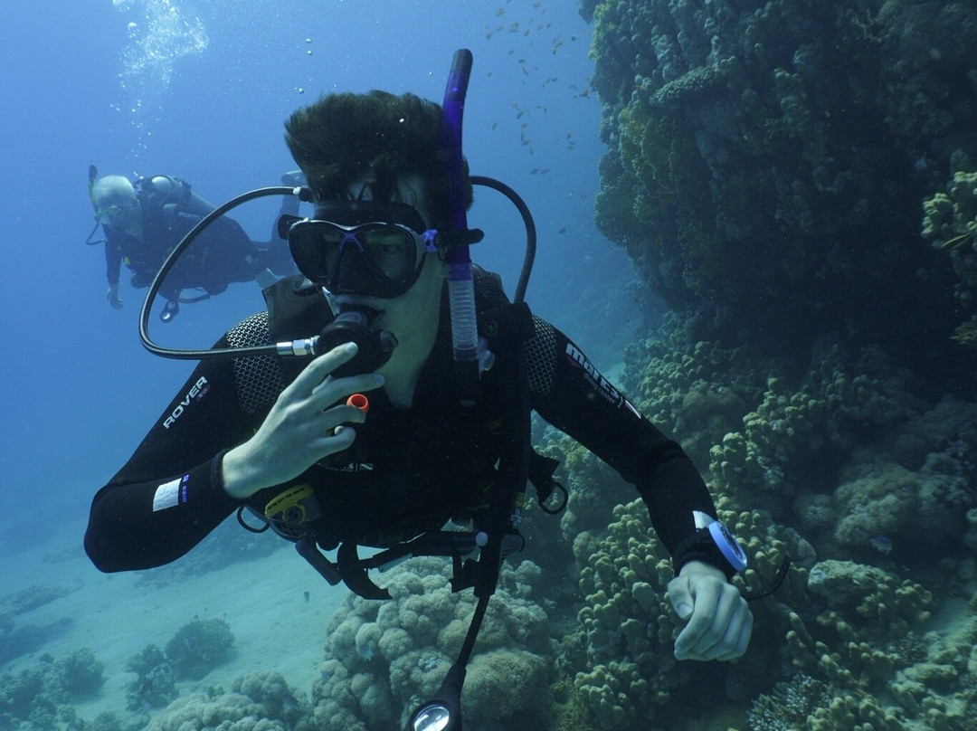 Aquarius Diving Club-沙姆沙伊赫必去景点