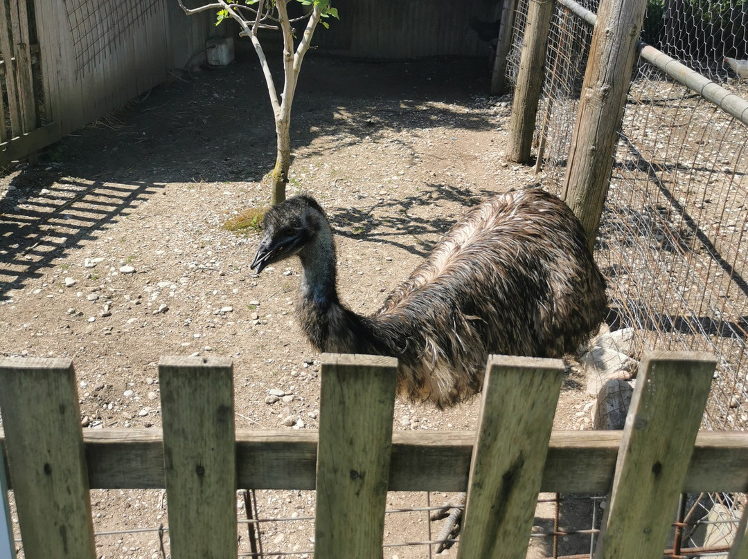 Ktíma - Zoo Park Polyzogópoulou-Amaliada必去景点