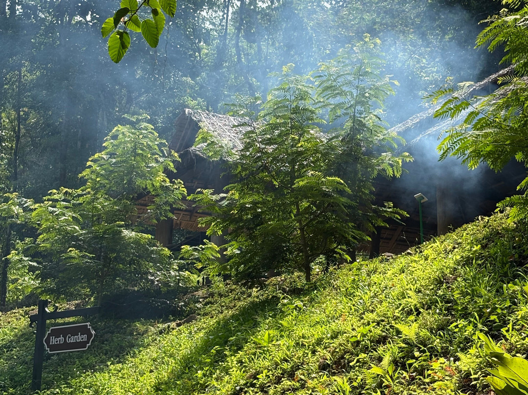 Phang Nga Elephant Park-攀牙必去景点