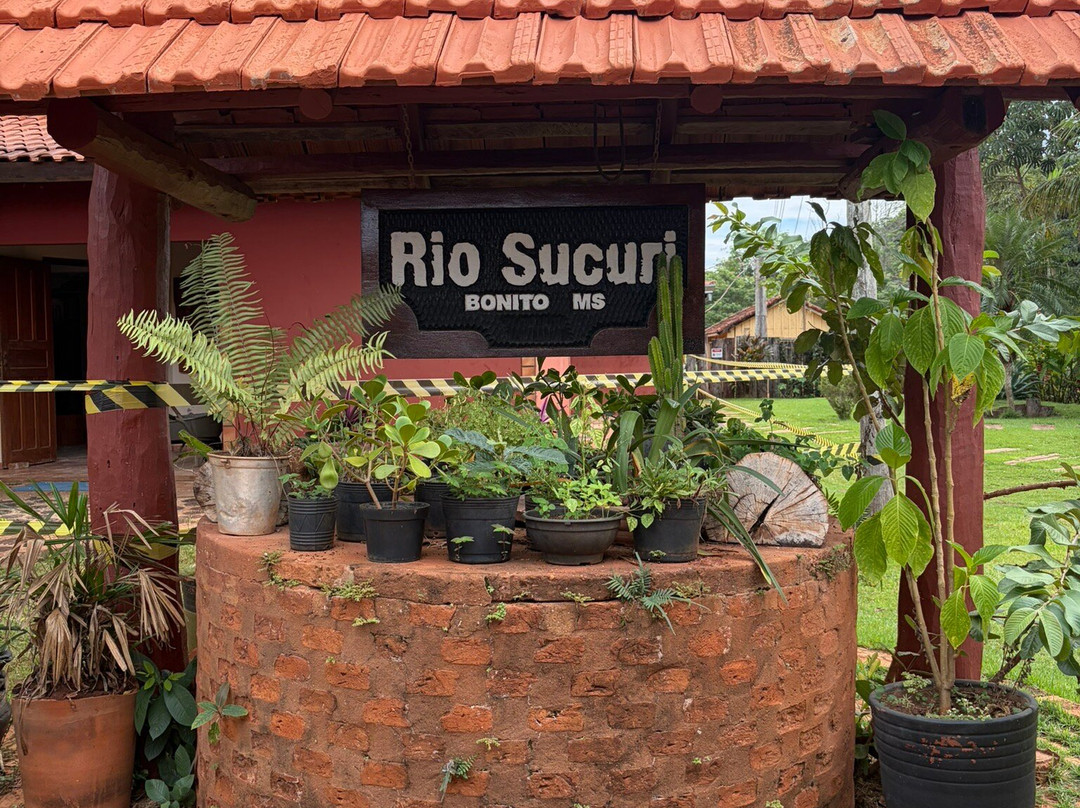 Rio Sucuri-博尼图必去景点