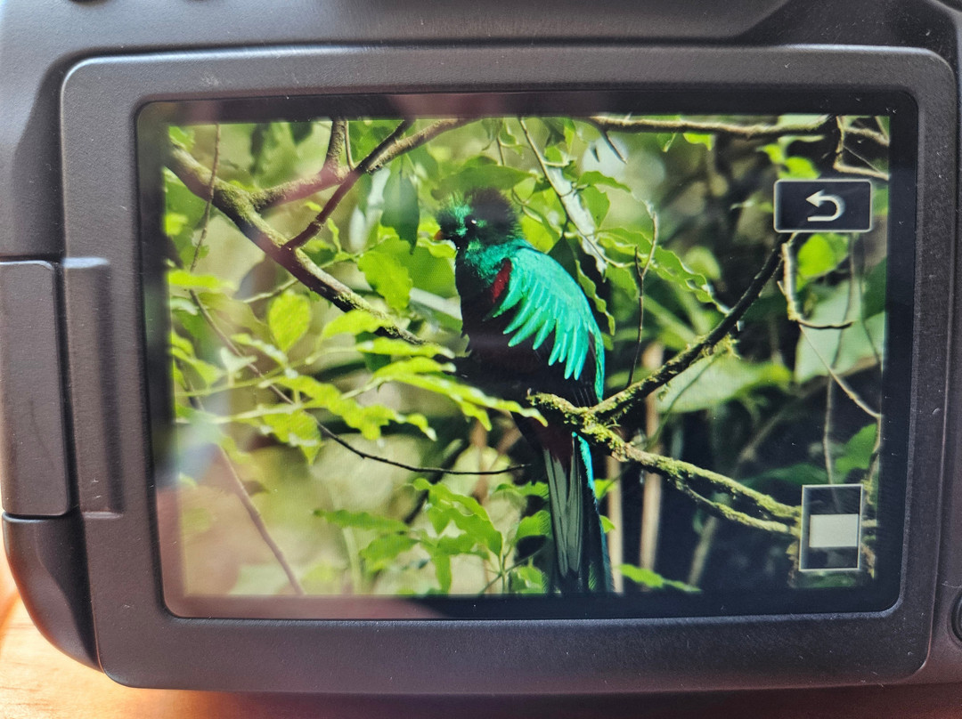 Woodpecker Educational Tours-Canas必去景点