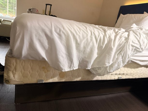 阿拉巴马州伯明翰的汉密尔顿旅馆-旅行者