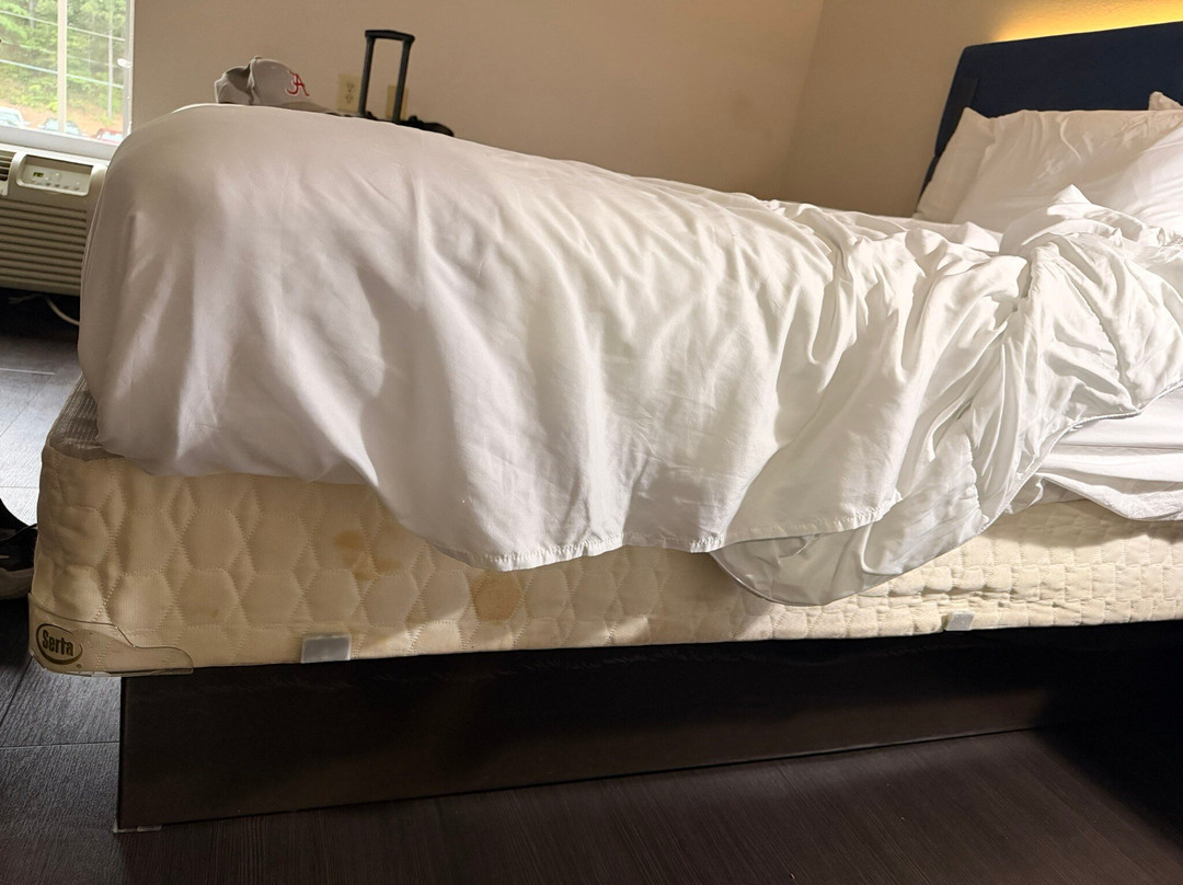 阿拉巴马州伯明翰的汉密尔顿旅馆主图