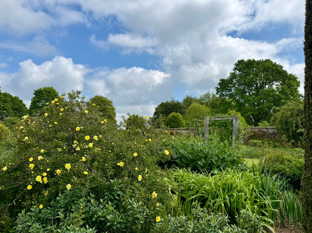 Mottisfont Abbey-Mottisfont必去景点