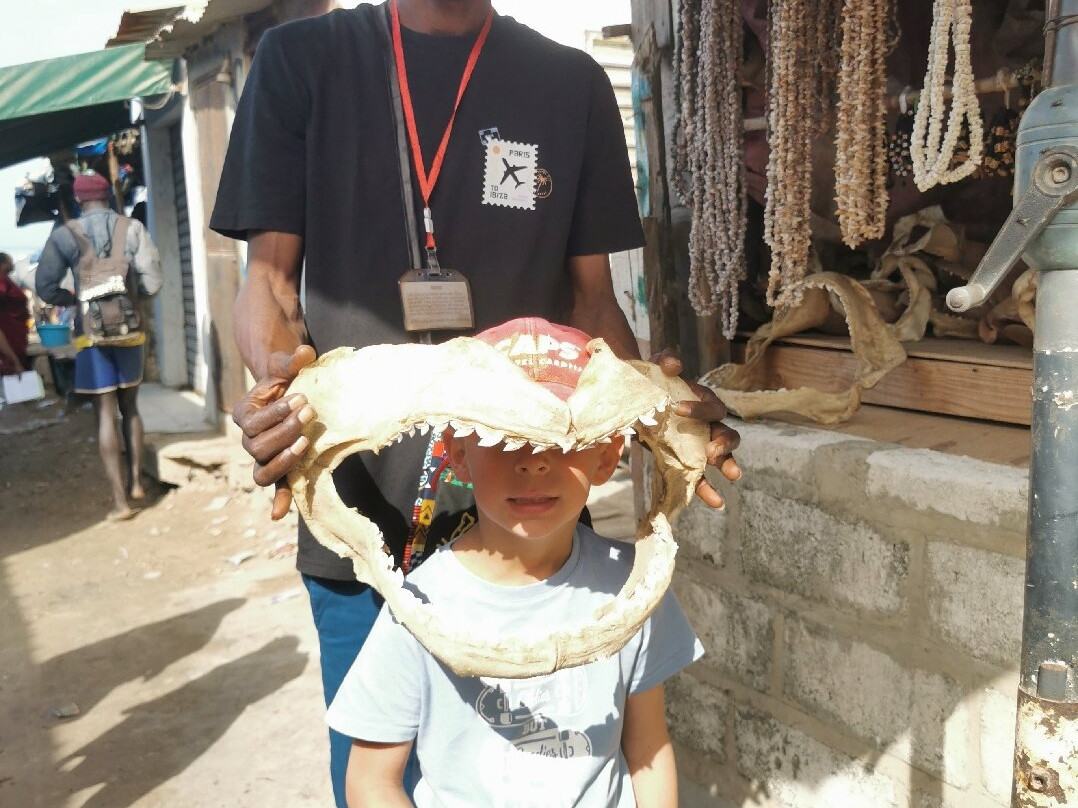 Excursions Départ Hôtel Riu Baobab-Ponto必去景点