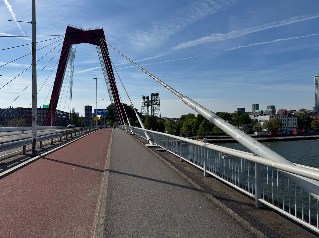 Willemsbrug-鹿特丹必去景点