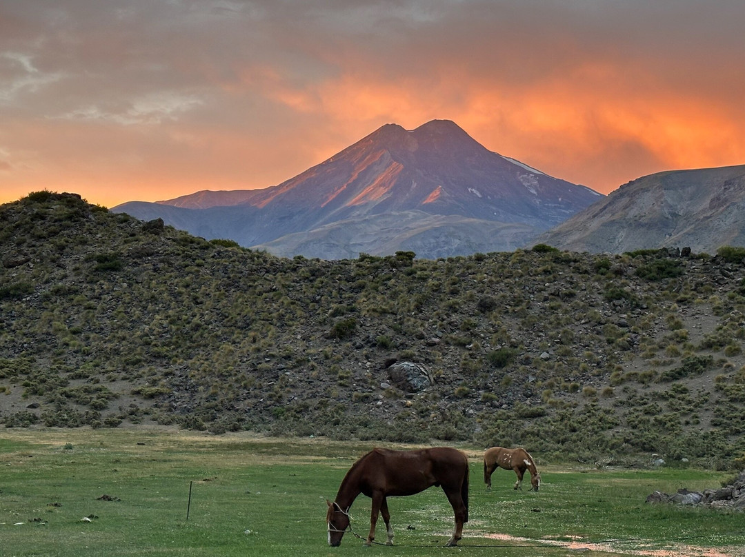 Chile Horse Riding-Panimavida必去景点