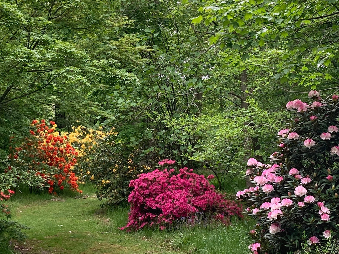 Green Island Gardens-Ardleigh必去景点