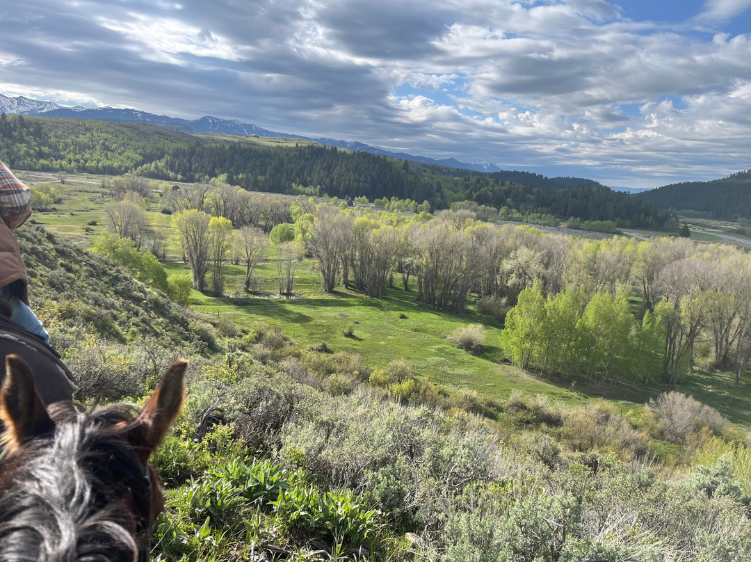 Jackson Hole Outfitters-Alpine必去景点
