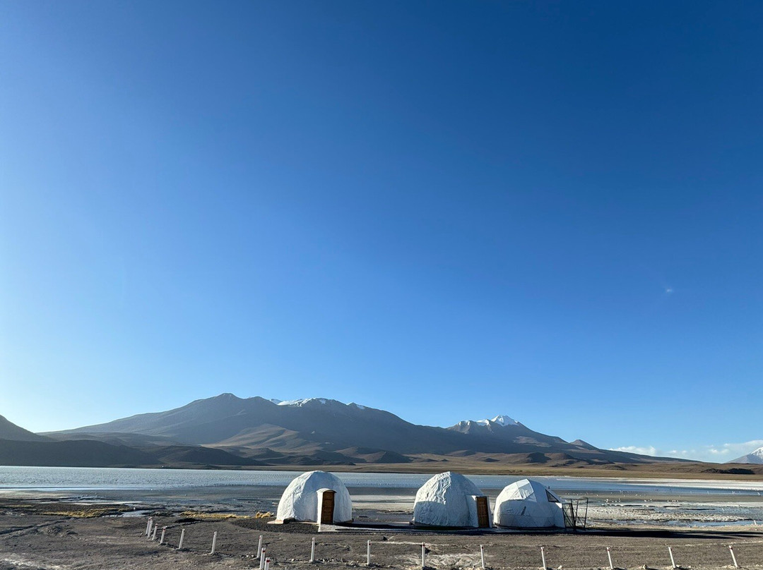 Eduardo Avaroa National Reserve of Andean Fauna-Potosi Department必去景点