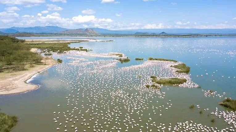 LAKE NAKURU NATIONAL PARK-纳库鲁湖国家公园必去景点